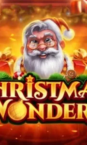 Christmas Wonders